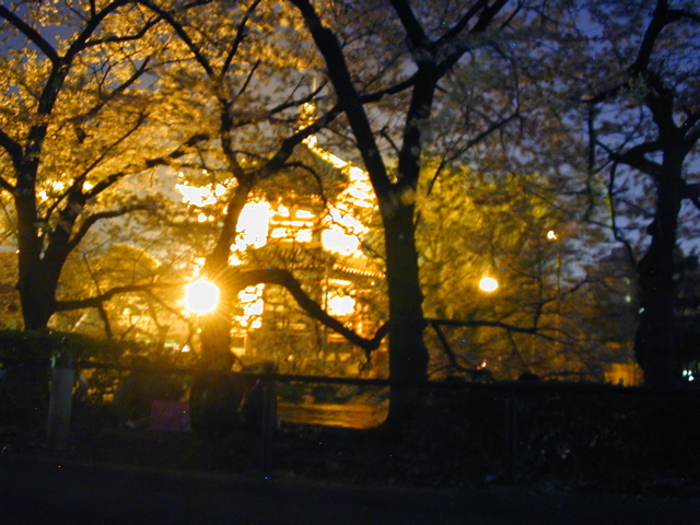 DSCN0678
