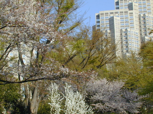 DSCN0605