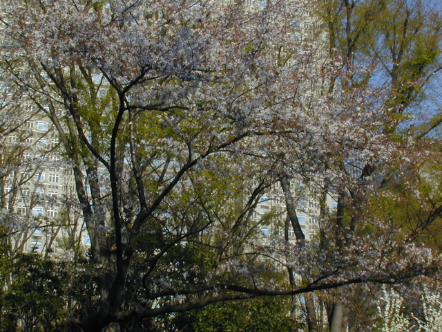 DSCN0606