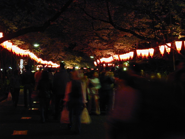 DSCN0690