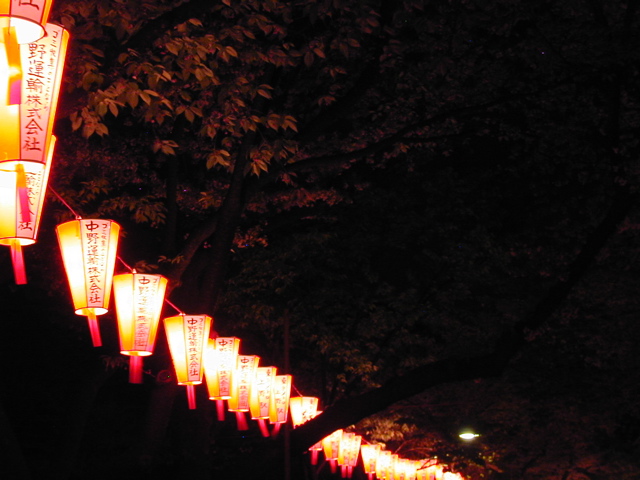 DSCN0695