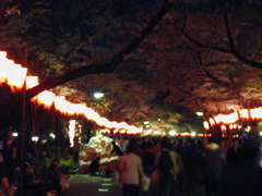 DSCN0699
