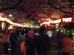 DSCN0700