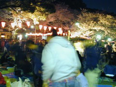 DSCN0703