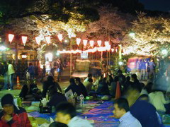 DSCN0705