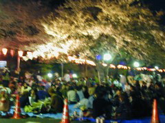 DSCN0706