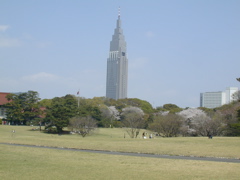 DSCN0609