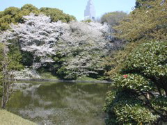 DSCN0610