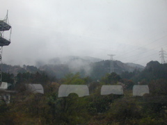 DSCN0736