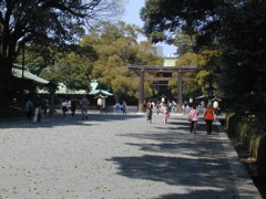 DSCN0611