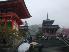 DSCN0747