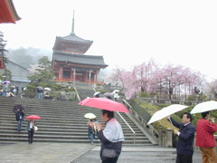 DSCN0748