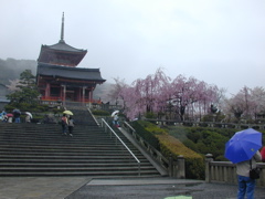 DSCN0749