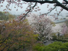DSCN0752