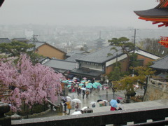 DSCN0753