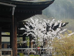 DSCN0757