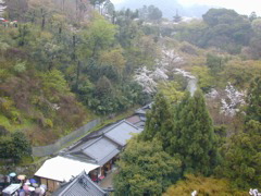 DSCN0759