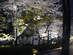 DSCN0767