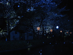 DSCN0769