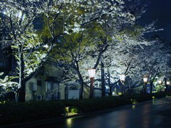 DSCN0770