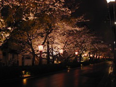 DSCN0772