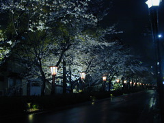 DSCN0773