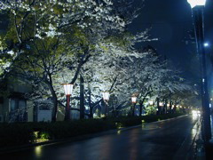 DSCN0774