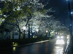 DSCN0775