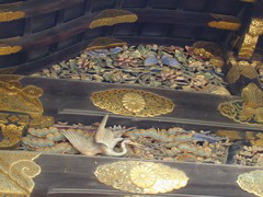DSCN0786