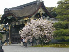 DSCN0790