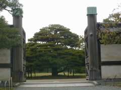 DSCN0791