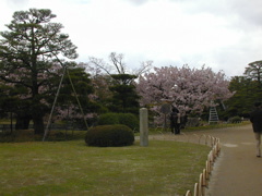 DSCN0792