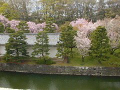 DSCN0797