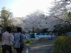DSCN0597