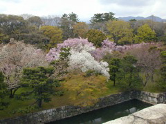 DSCN0798
