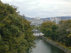 DSCN0799