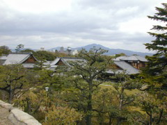 DSCN0800