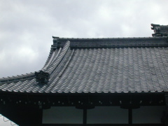 DSCN0802
