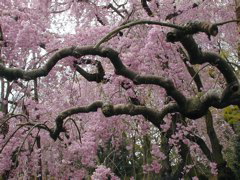 DSCN0810