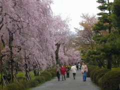 DSCN0812