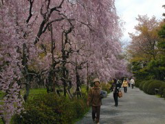 DSCN0814
