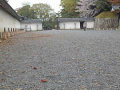 DSCN0822