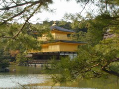 DSCN0831