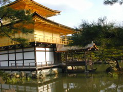 DSCN0833