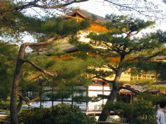 DSCN0839