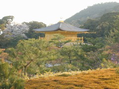 DSCN0842