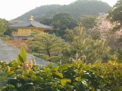 DSCN0844