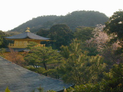 DSCN0845