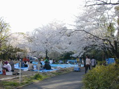 DSCN0598