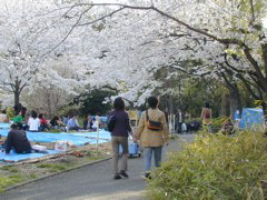 DSCN0601